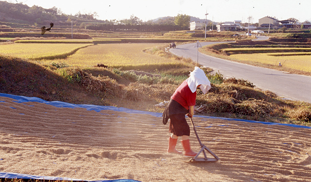 다운로드 불가 이미지