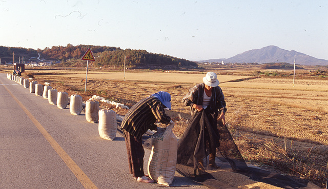 다운로드 불가 이미지