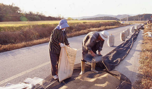 다운로드 불가 이미지