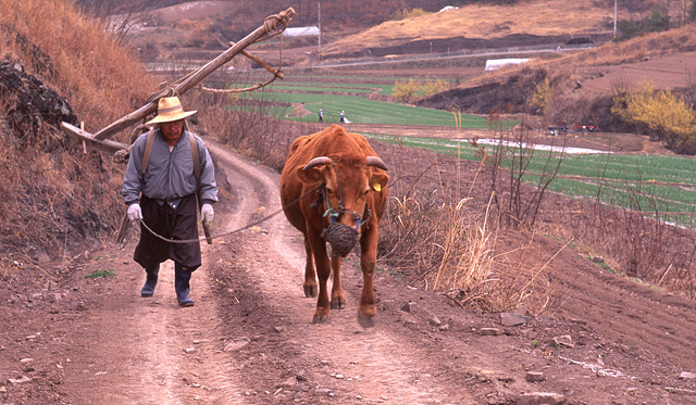 다운로드 불가 이미지