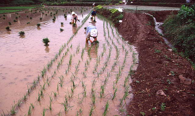 다운로드 불가 이미지
