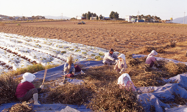 다운로드 불가 이미지