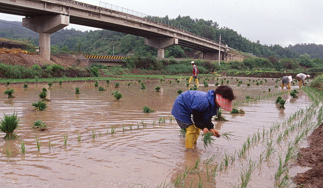 다운로드 불가 이미지