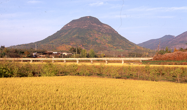 다운로드 불가 이미지