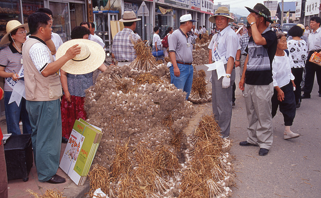 다운로드 불가 이미지