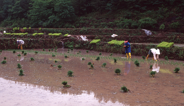 다운로드 불가 이미지