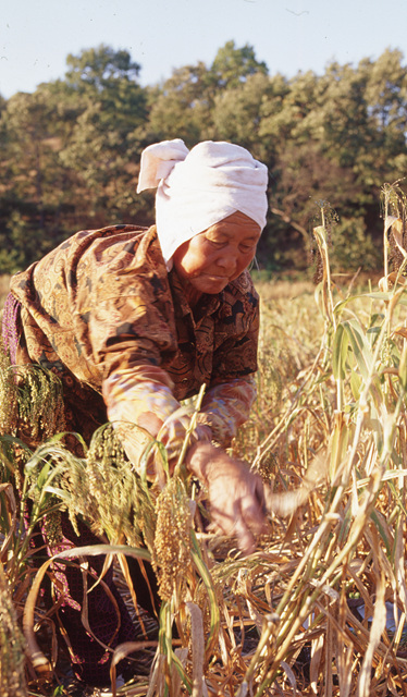 다운로드 불가 이미지