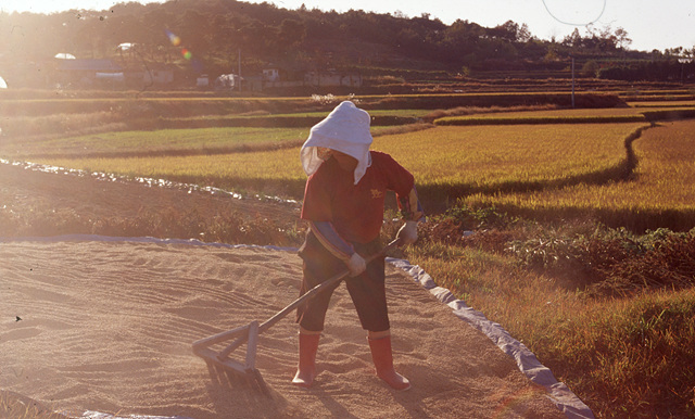다운로드 불가 이미지