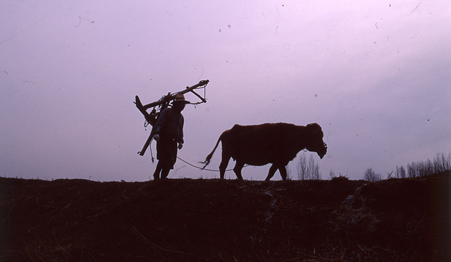 다운로드 불가 이미지