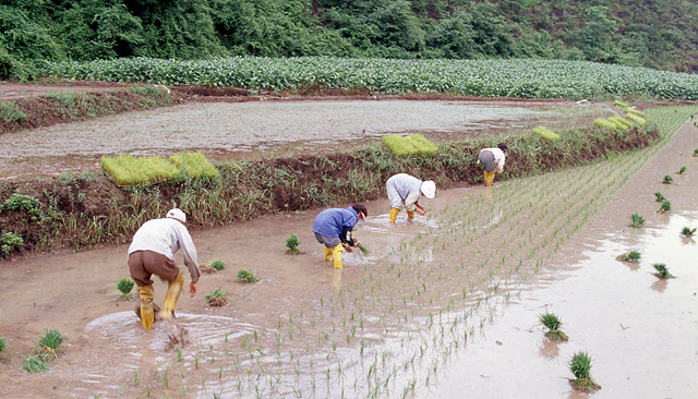 다운로드 불가 이미지