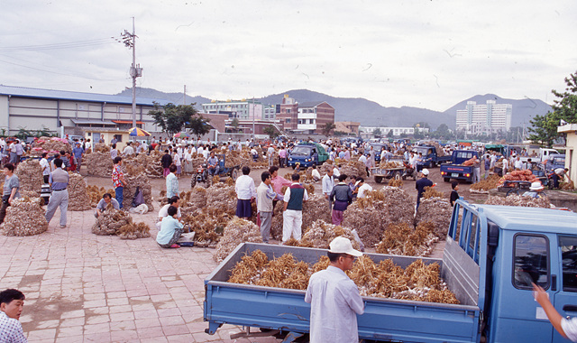 다운로드 불가 이미지
