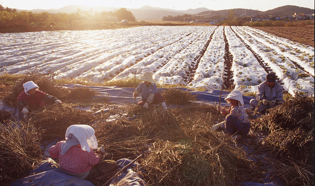 다운로드 불가 이미지