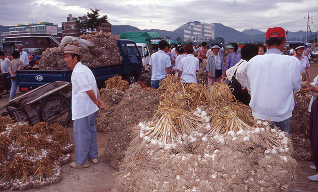 다운로드 불가 이미지