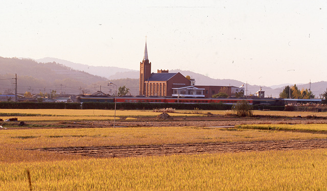 다운로드 불가 이미지