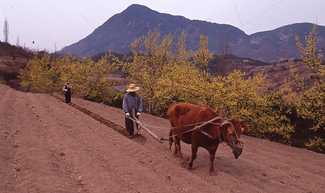 다운로드 불가 이미지