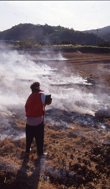 다운로드 불가 이미지