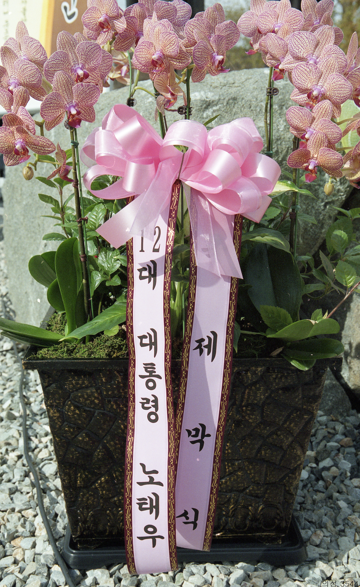 다운로드 불가 이미지