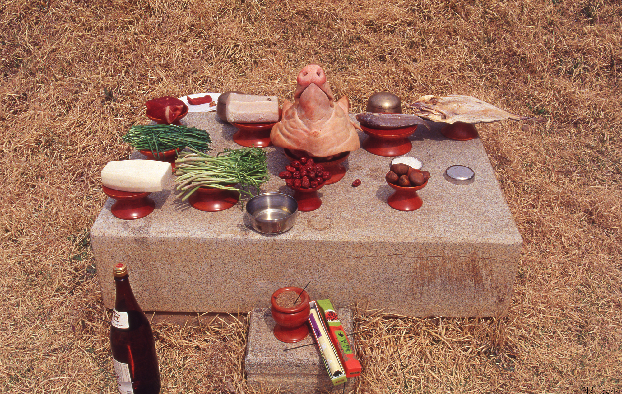 다운로드 불가 이미지