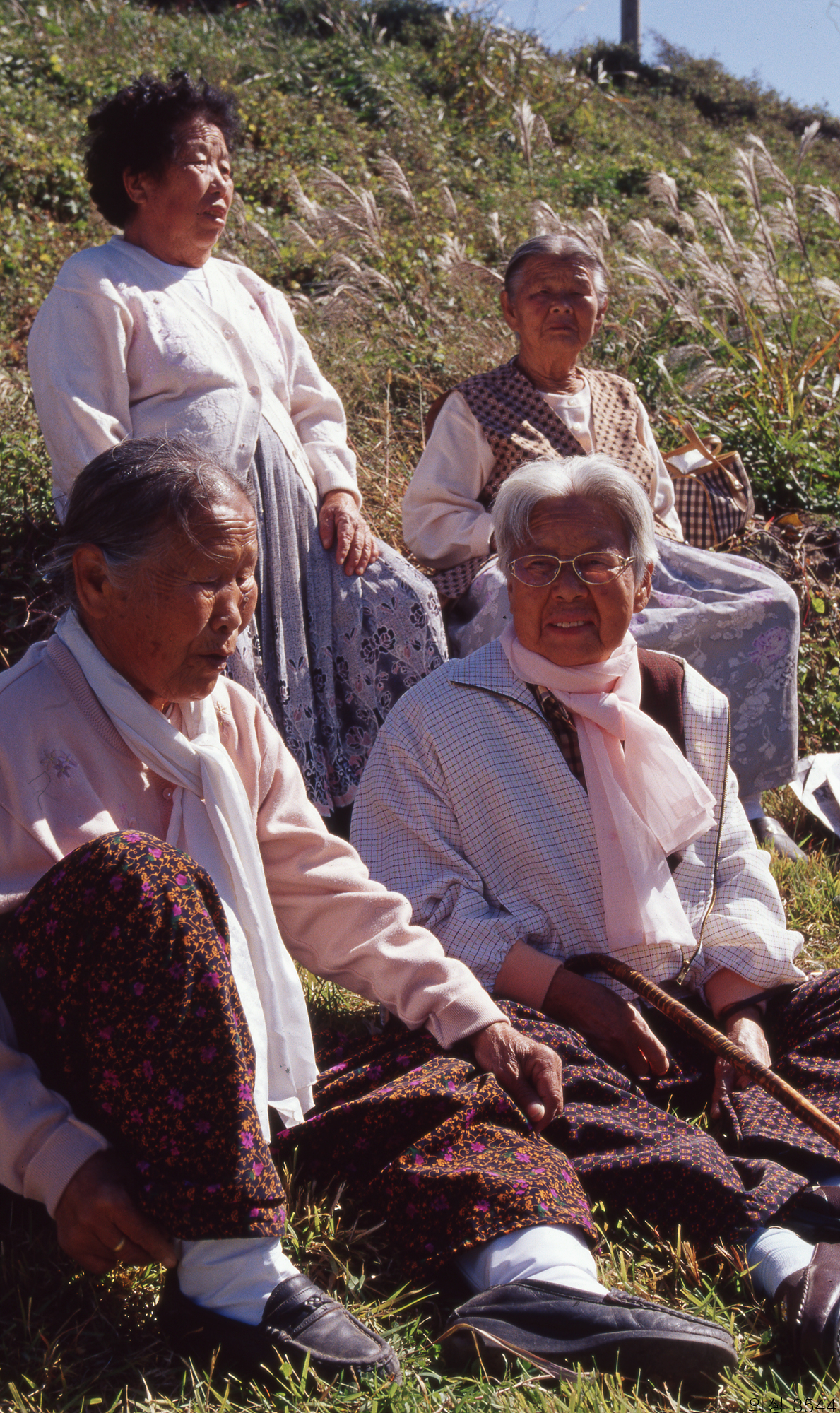 다운로드 불가 이미지