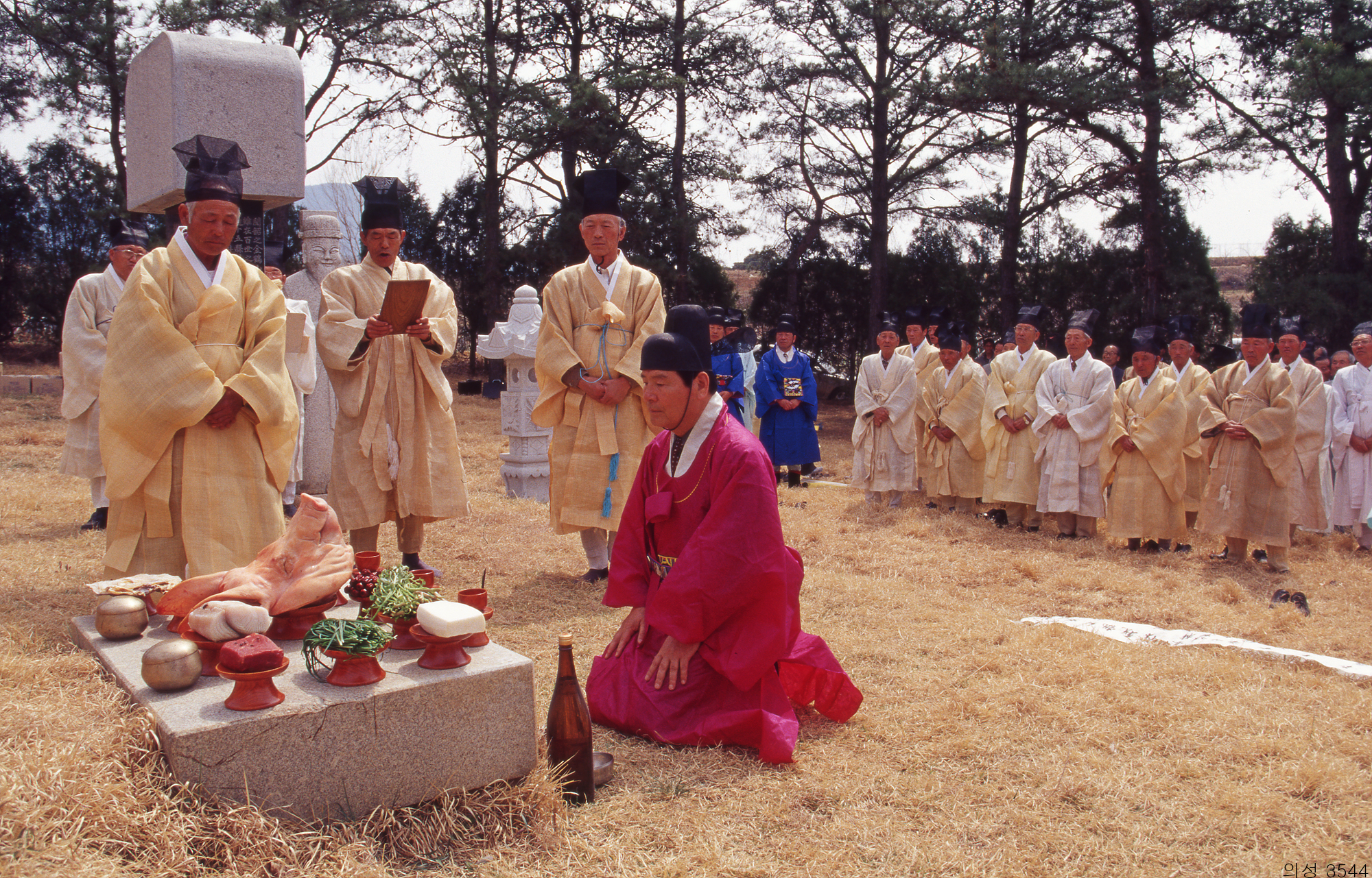 다운로드 불가 이미지