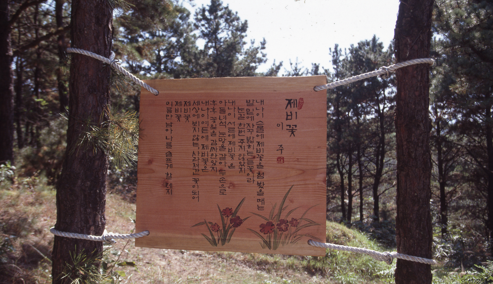 다운로드 불가 이미지