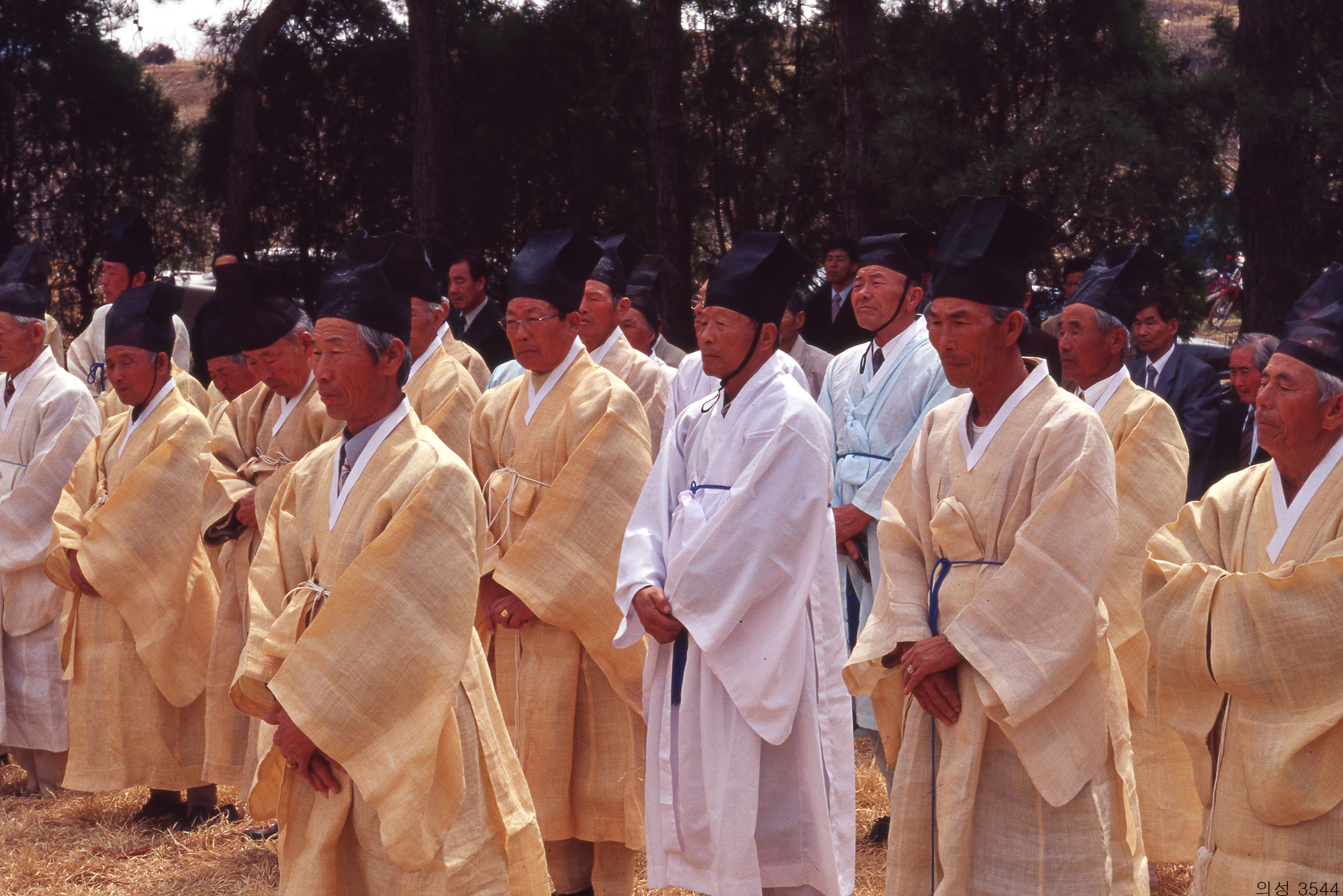 다운로드 불가 이미지