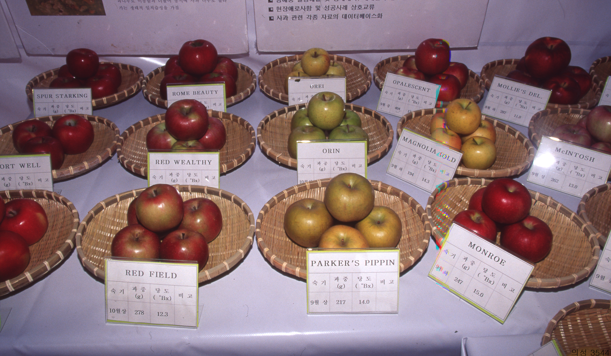 다운로드 불가 이미지