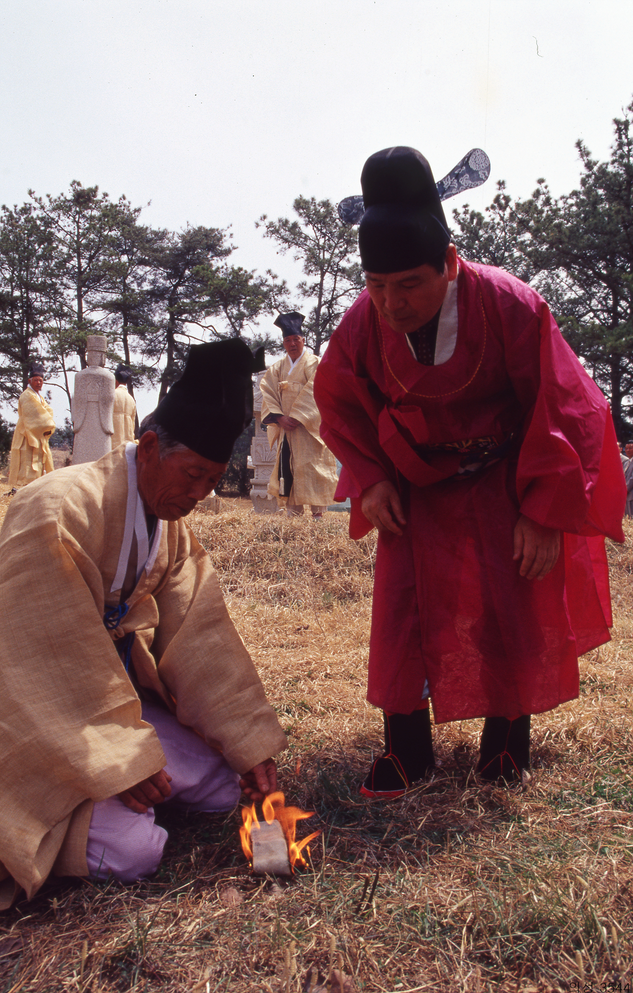 다운로드 불가 이미지