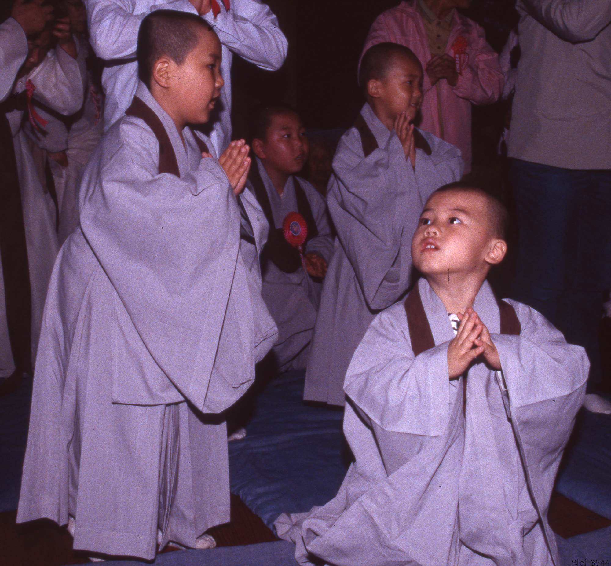 다운로드 불가 이미지