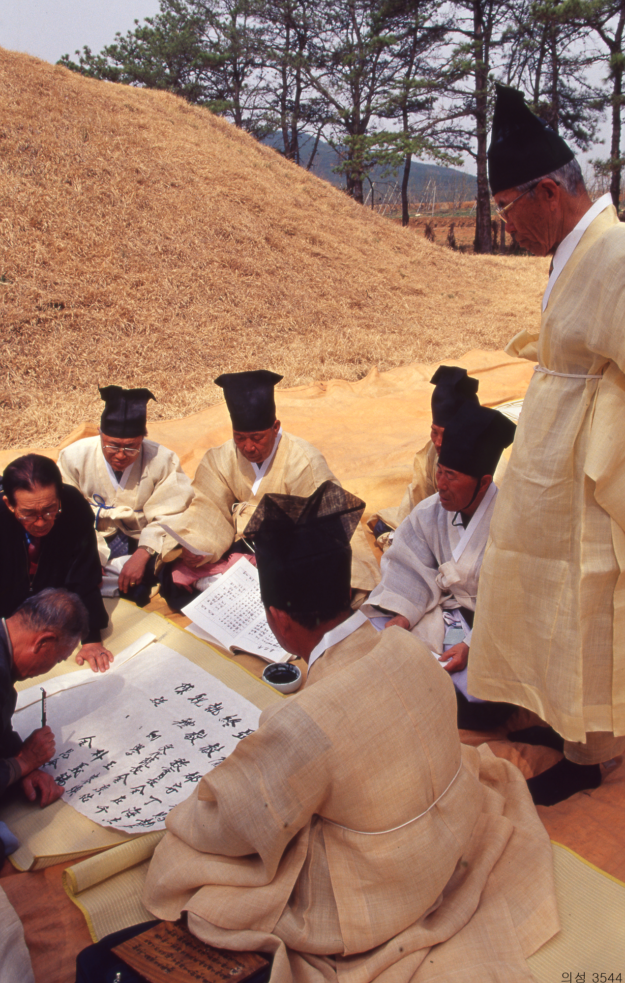 다운로드 불가 이미지