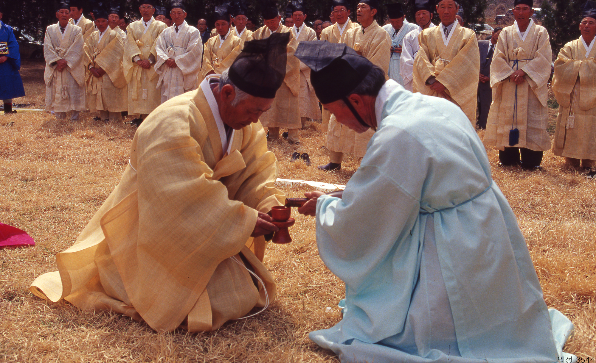 다운로드 불가 이미지