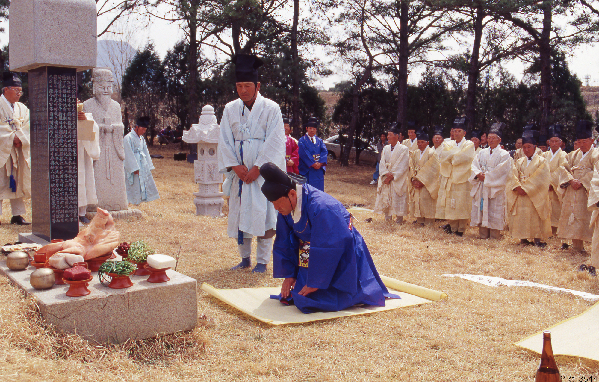 다운로드 불가 이미지