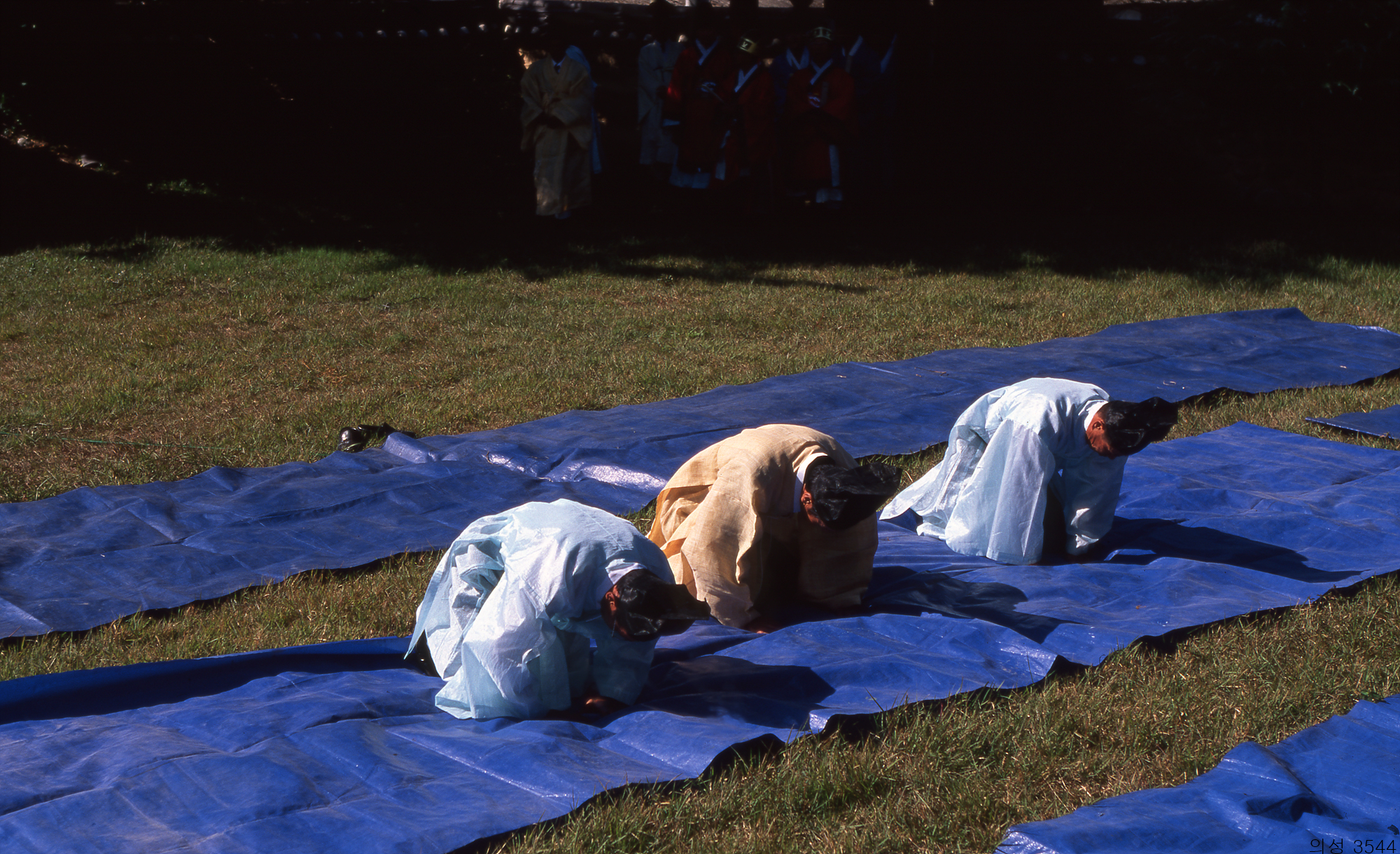 다운로드 불가 이미지