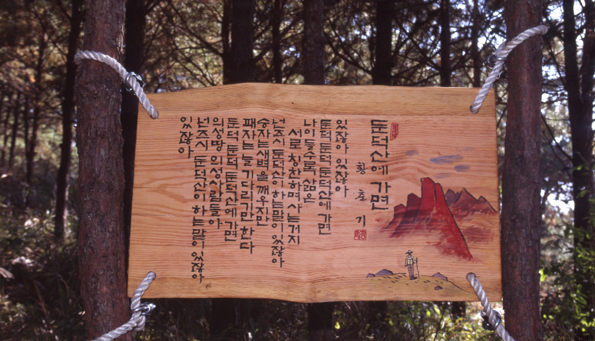 다운로드 불가 이미지