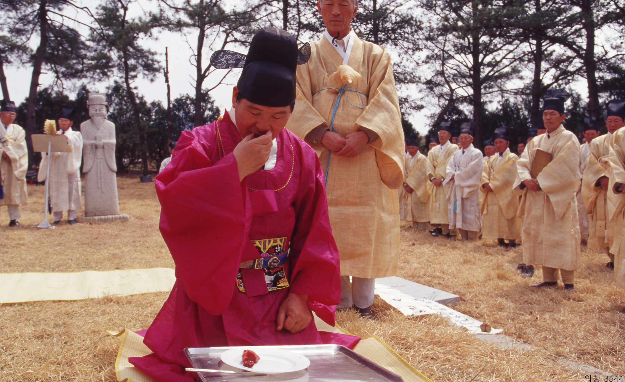 다운로드 불가 이미지
