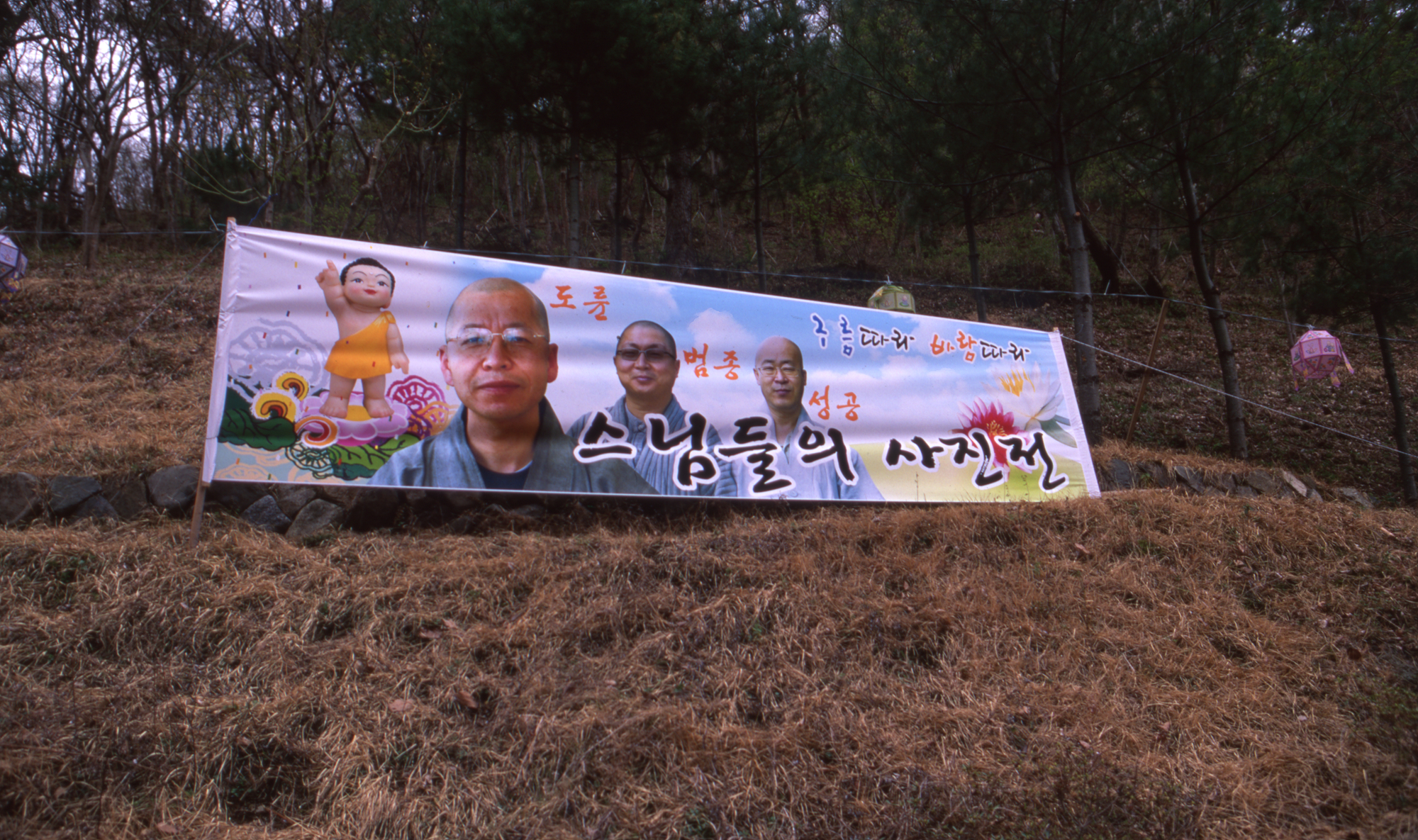 다운로드 불가 이미지