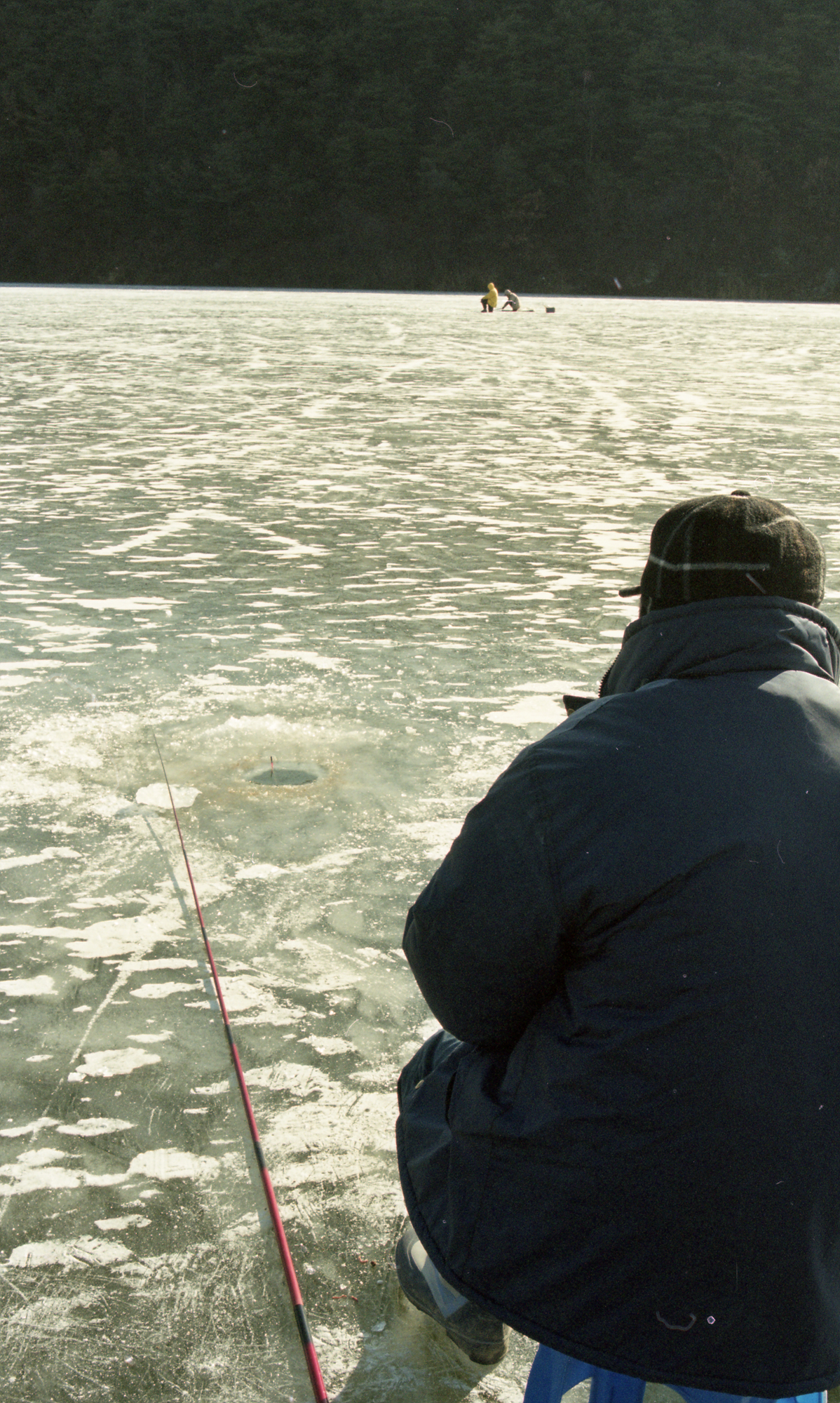 다운로드 불가 이미지