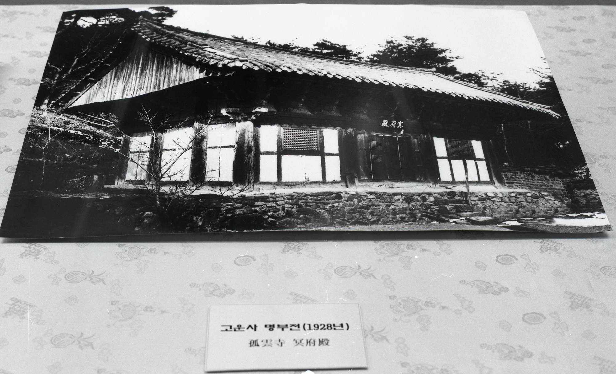 다운로드 불가 이미지