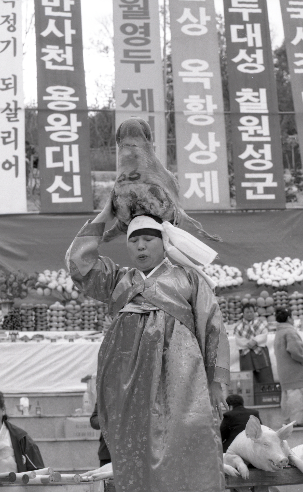 다운로드 불가 이미지