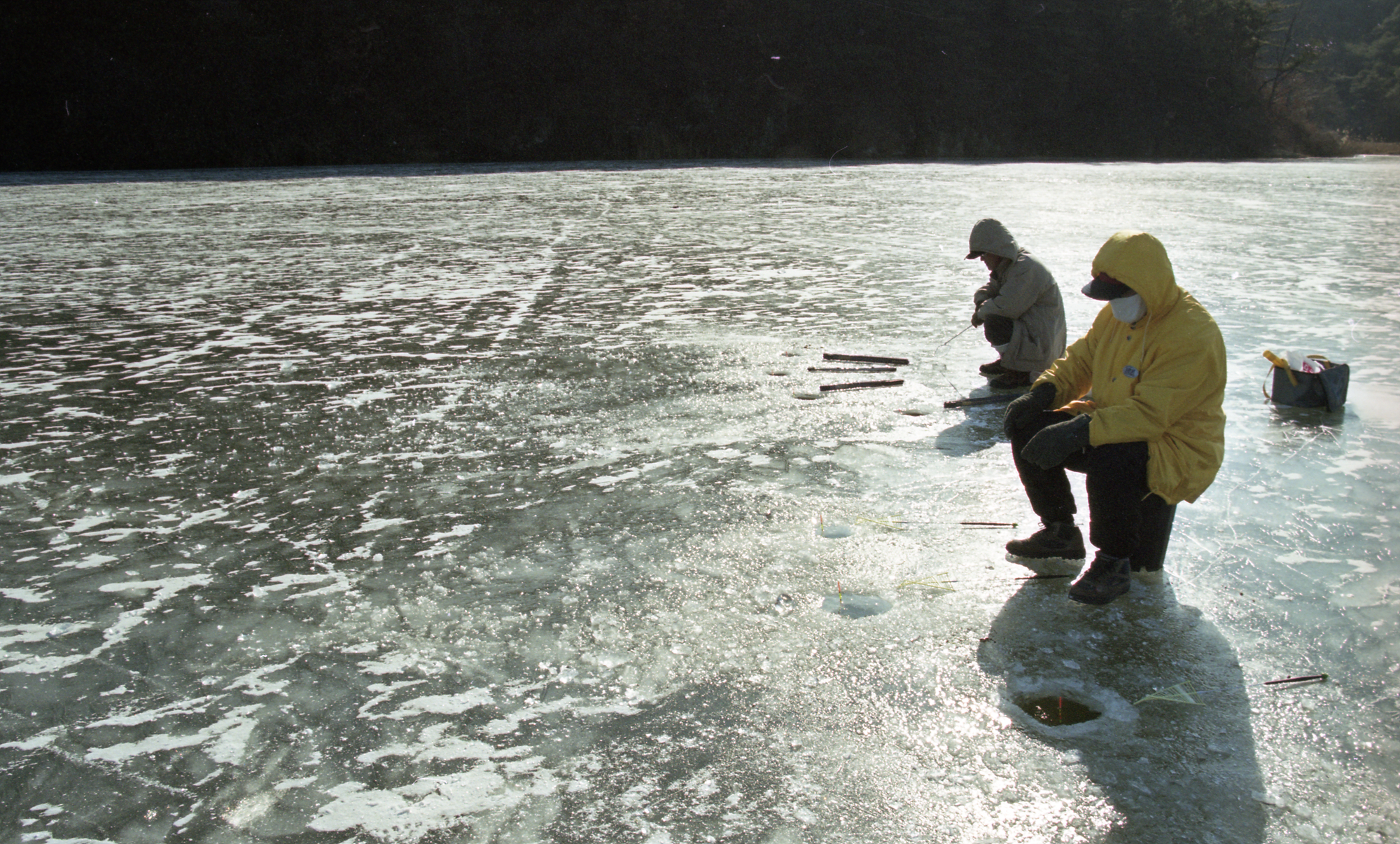 다운로드 불가 이미지