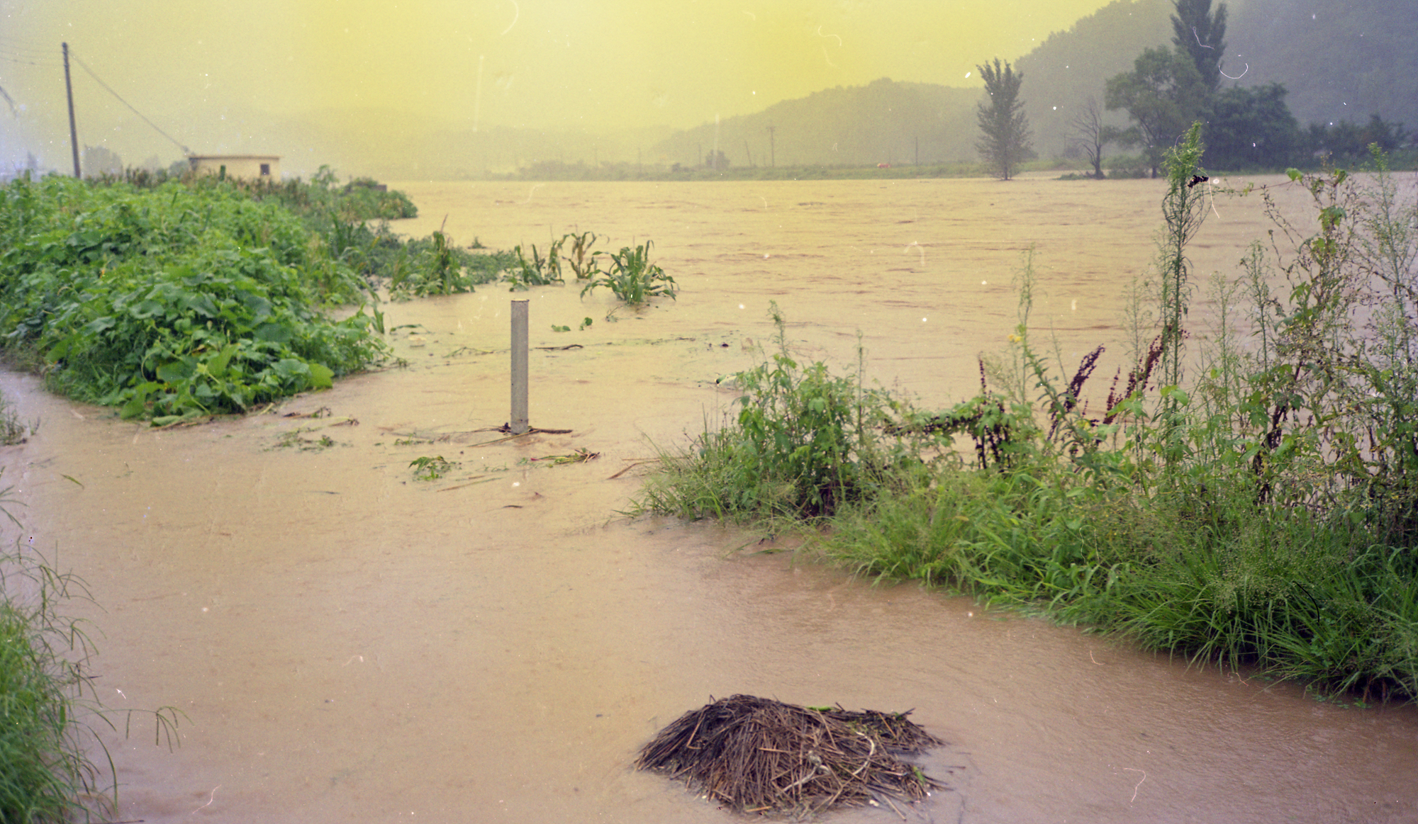 다운로드 불가 이미지