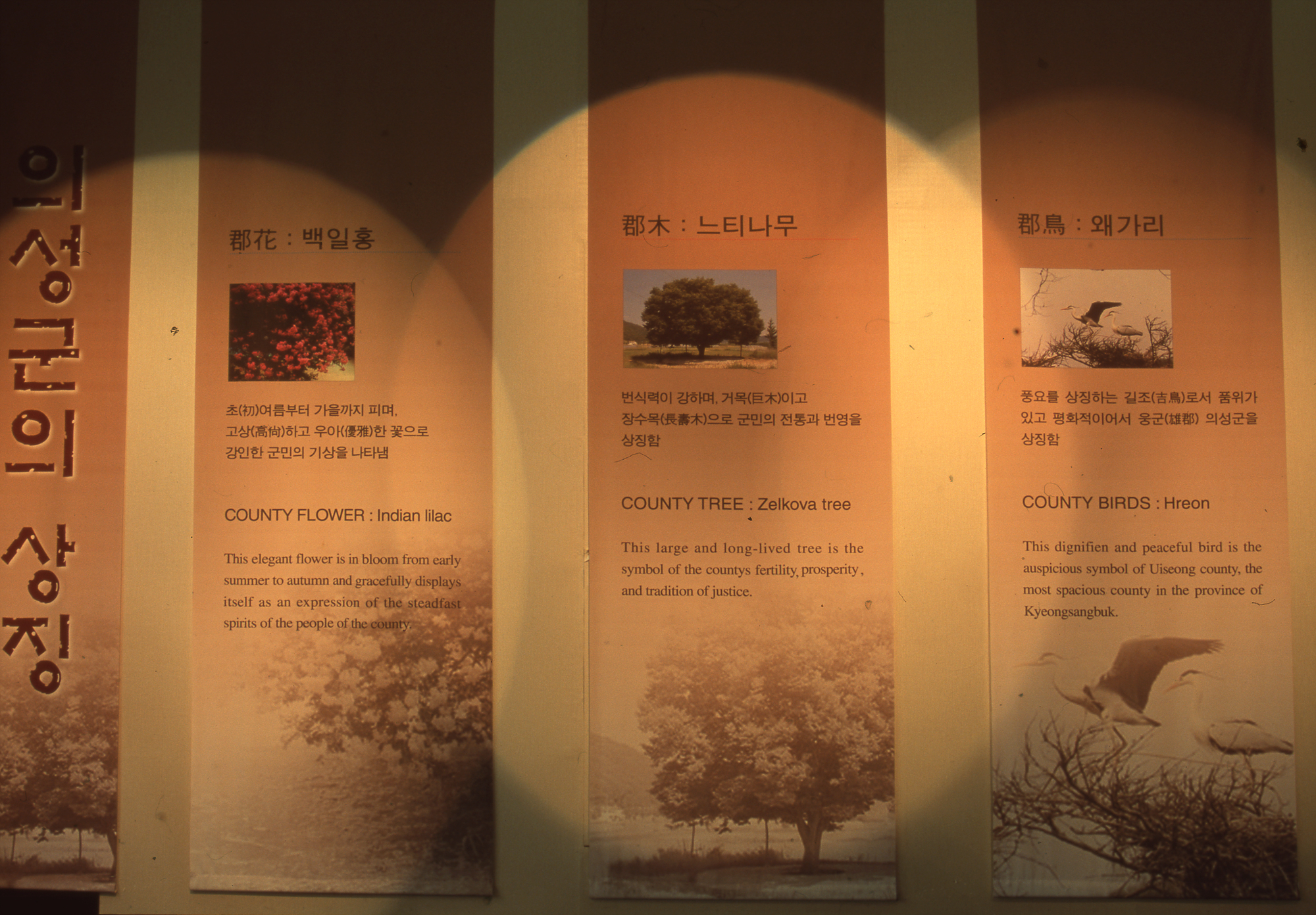 다운로드 불가 이미지