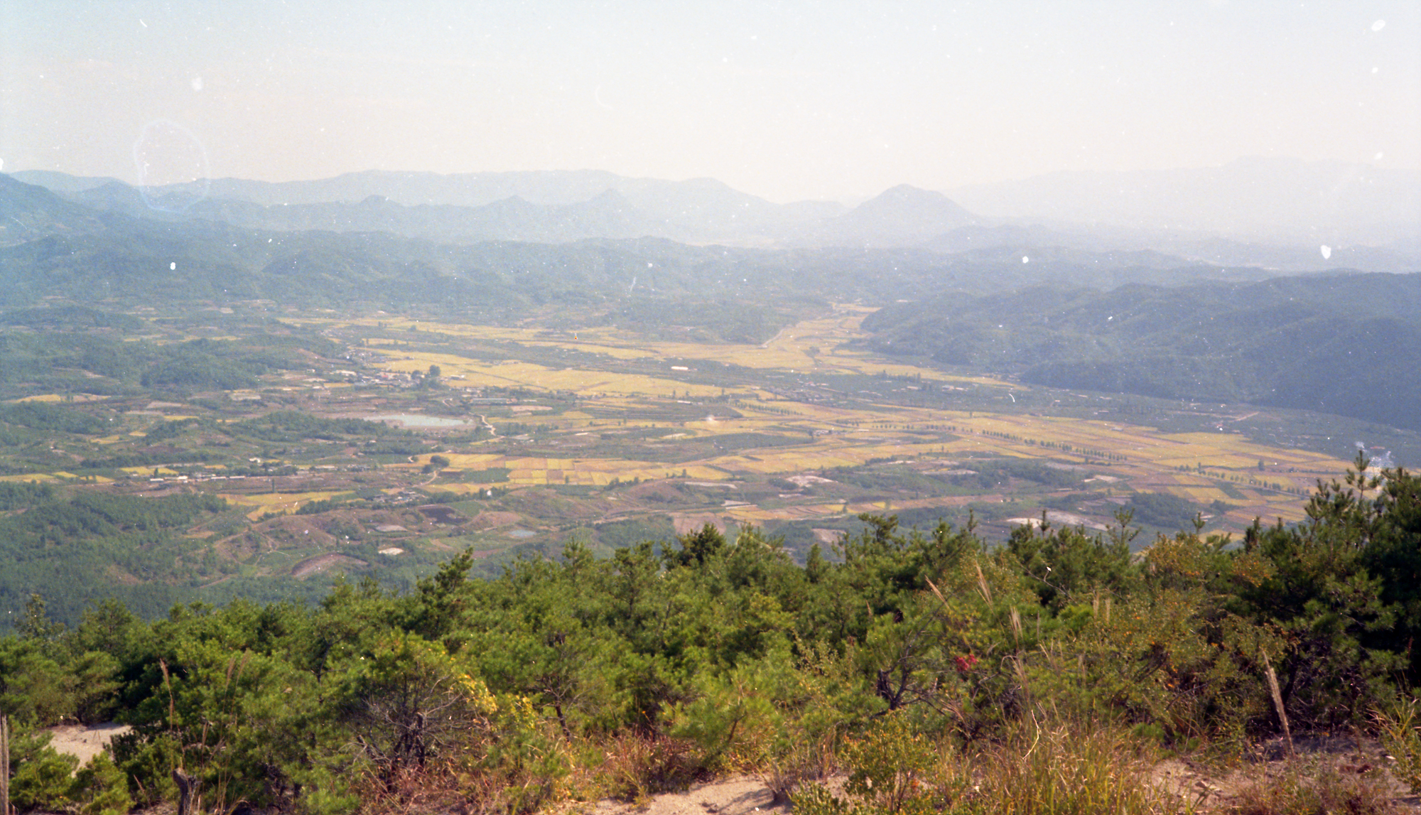 다운로드 불가 이미지