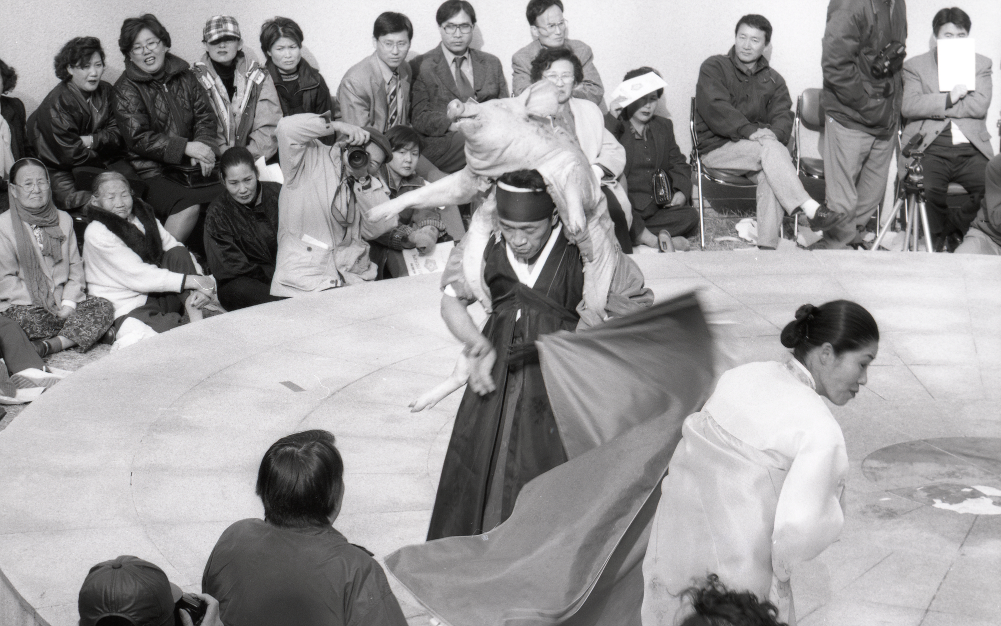 다운로드 불가 이미지