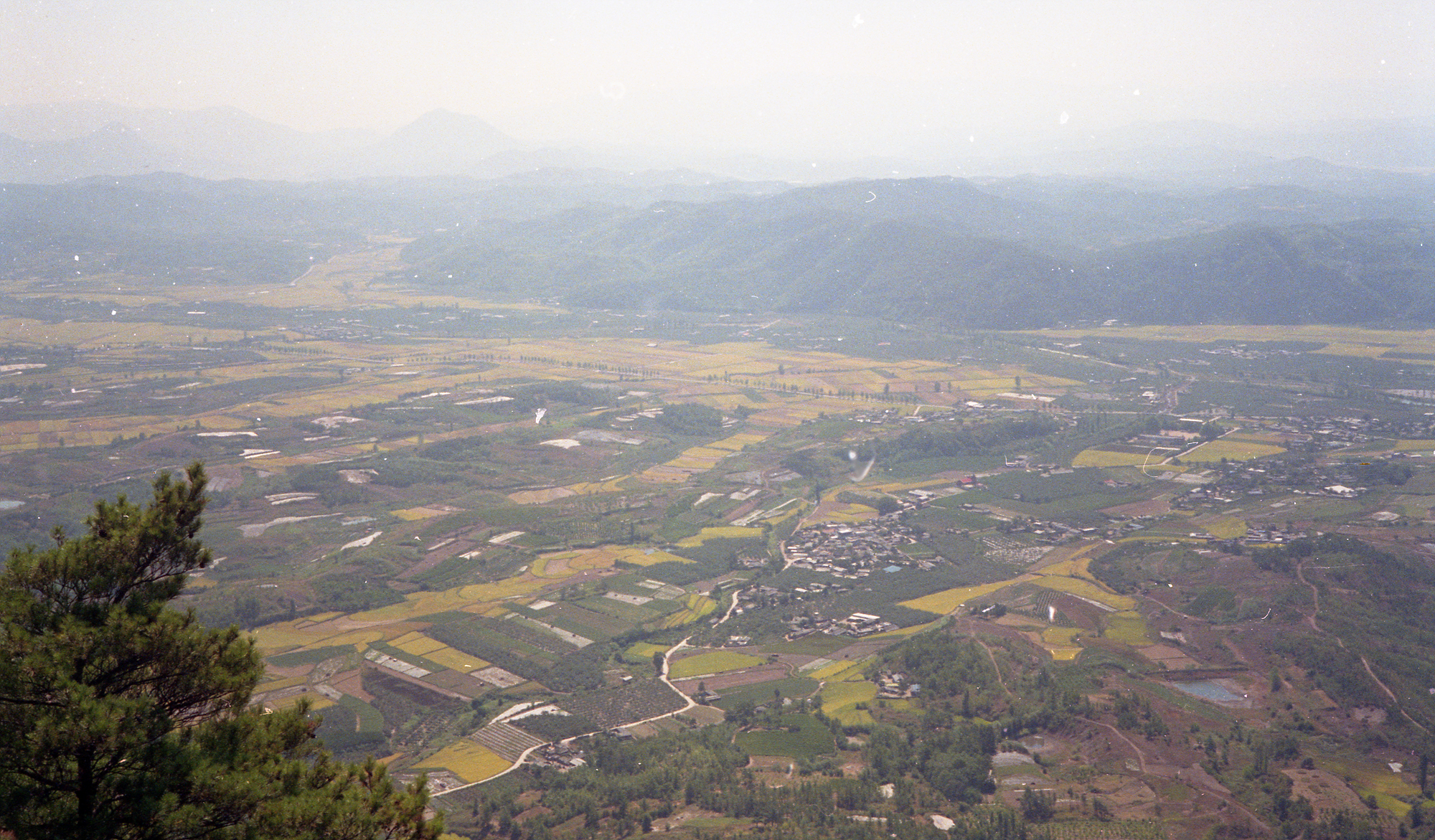 다운로드 불가 이미지