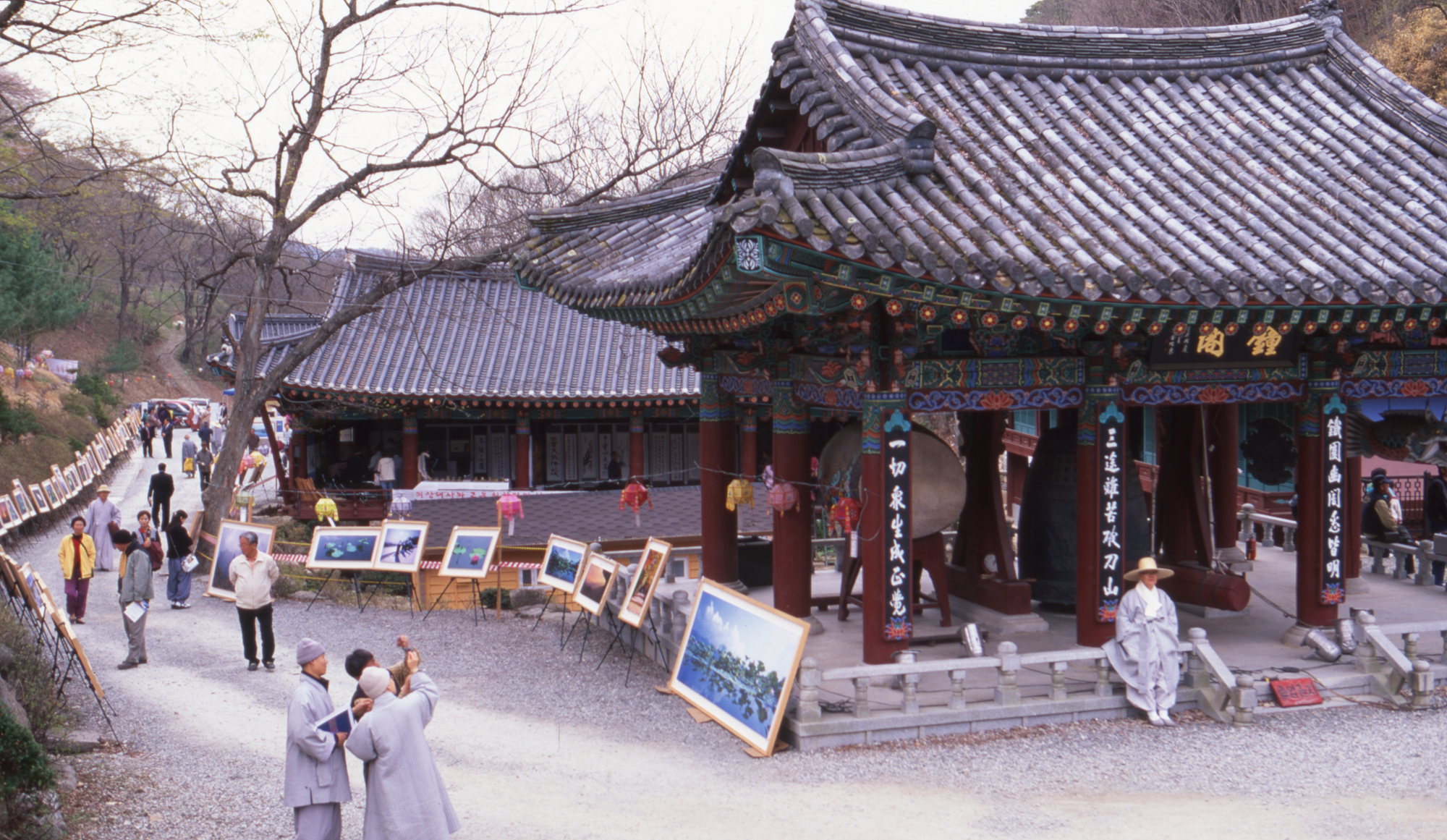 다운로드 불가 이미지