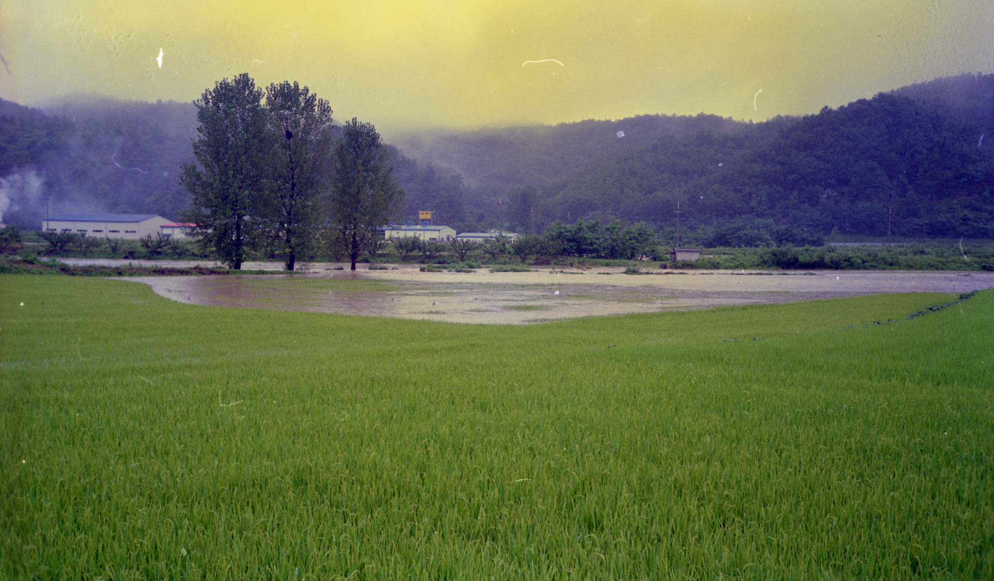 다운로드 불가 이미지