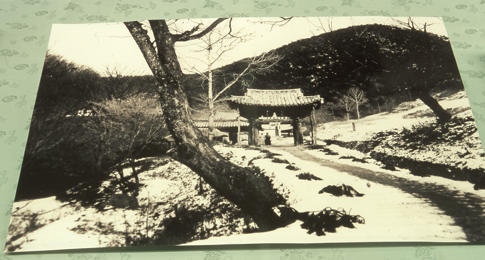 다운로드 불가 이미지