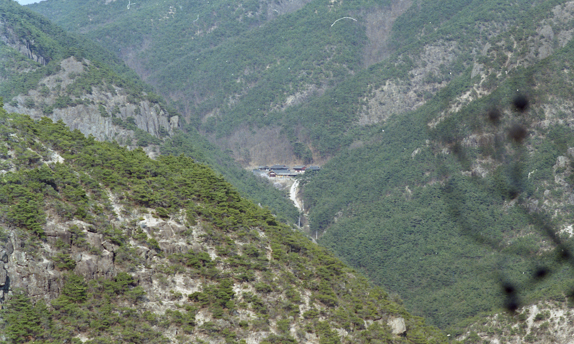 다운로드 불가 이미지