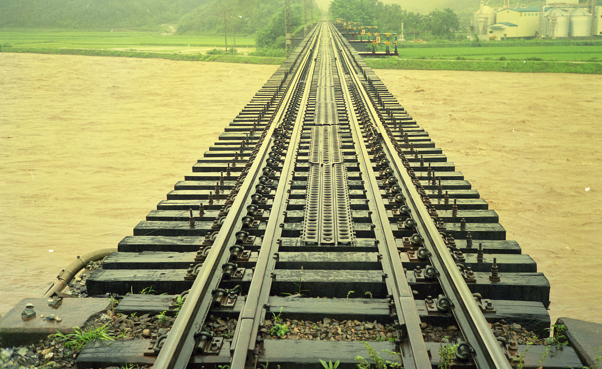 다운로드 불가 이미지